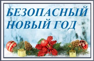 Памятка по пожарной безопасности и безопасной эксплуатации пиротехнических изделий на Новогодние и Рождественские праздники.